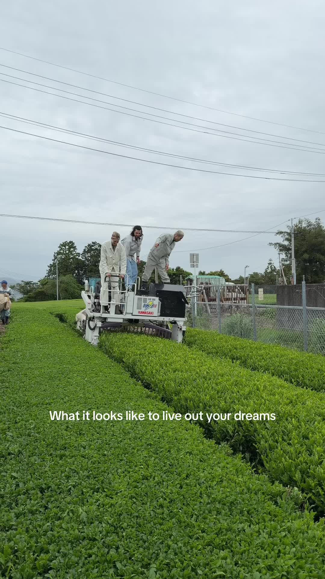 @Nekohama Matcha