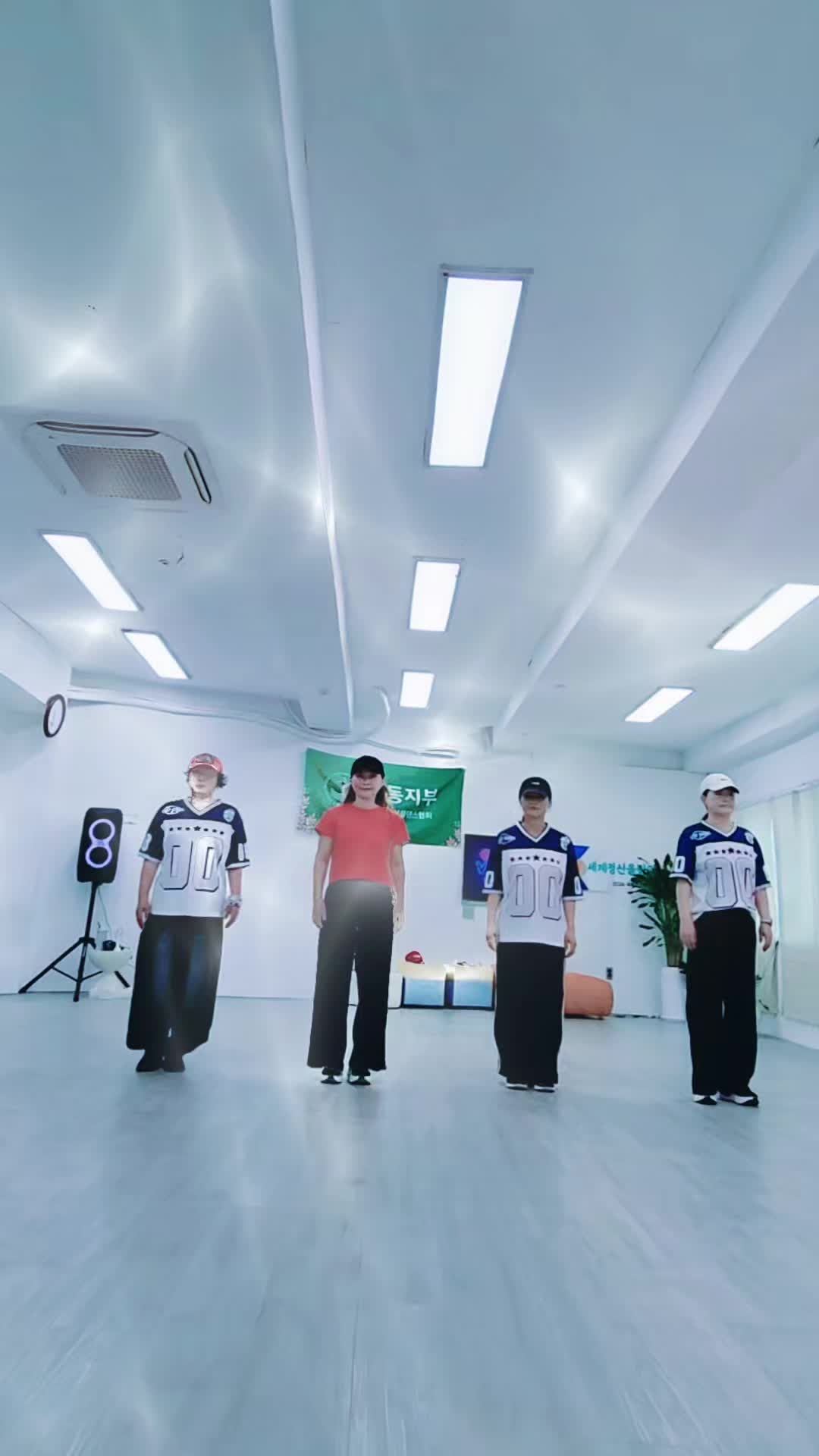 @틱톡왕비
