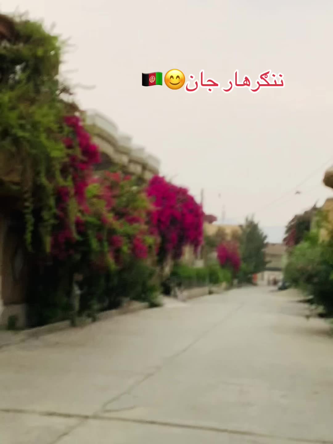 @👑ړنګ کــ🖤ـــو چـــ😌ـــی🦅