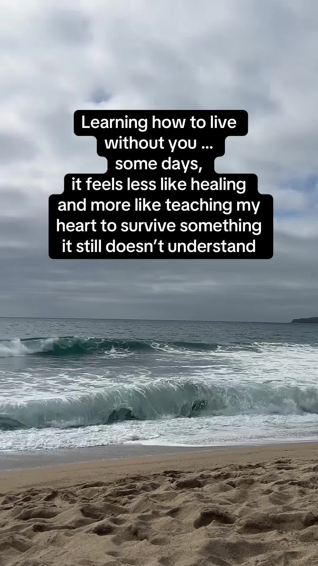 @ZeroGuilt