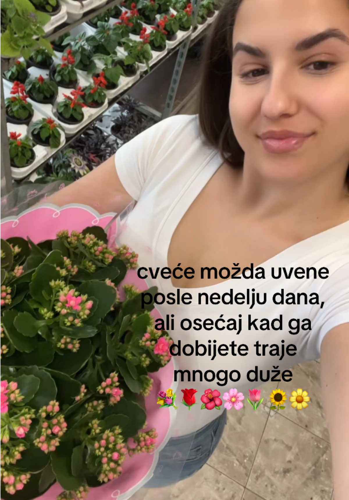 @Ana Vasiljević 🌷