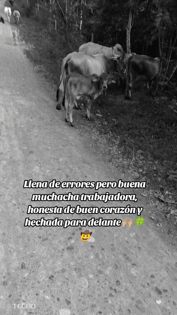 @🦋THU MORENITHA "J"🦋