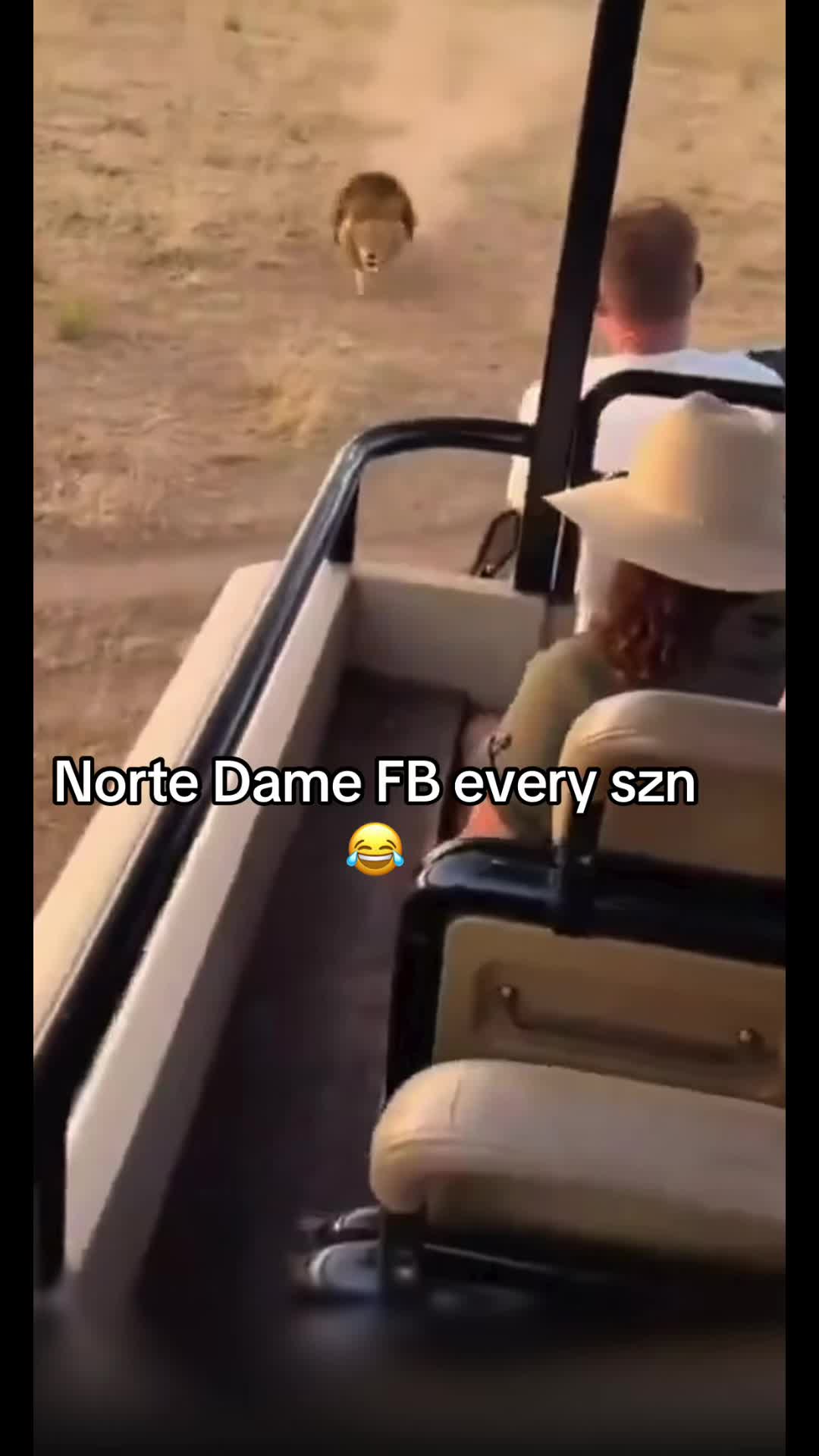 @chompnation