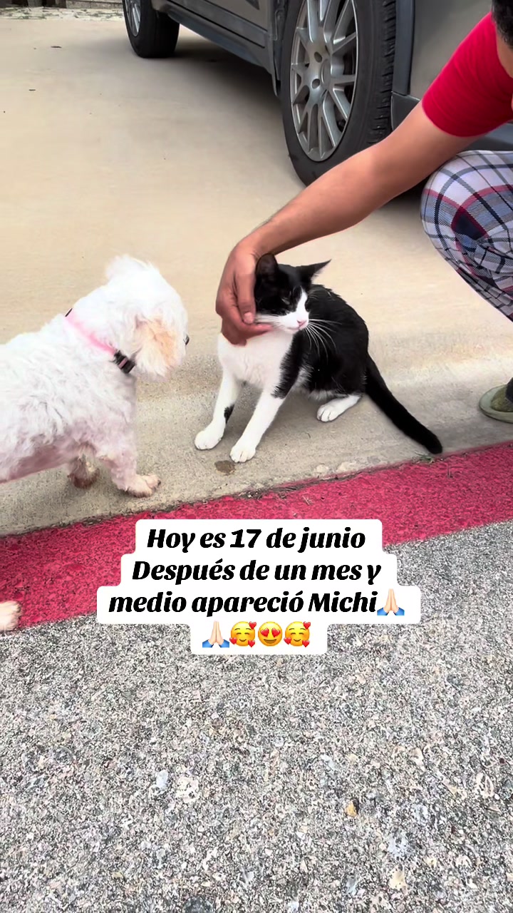 @AZUL🐶🥰