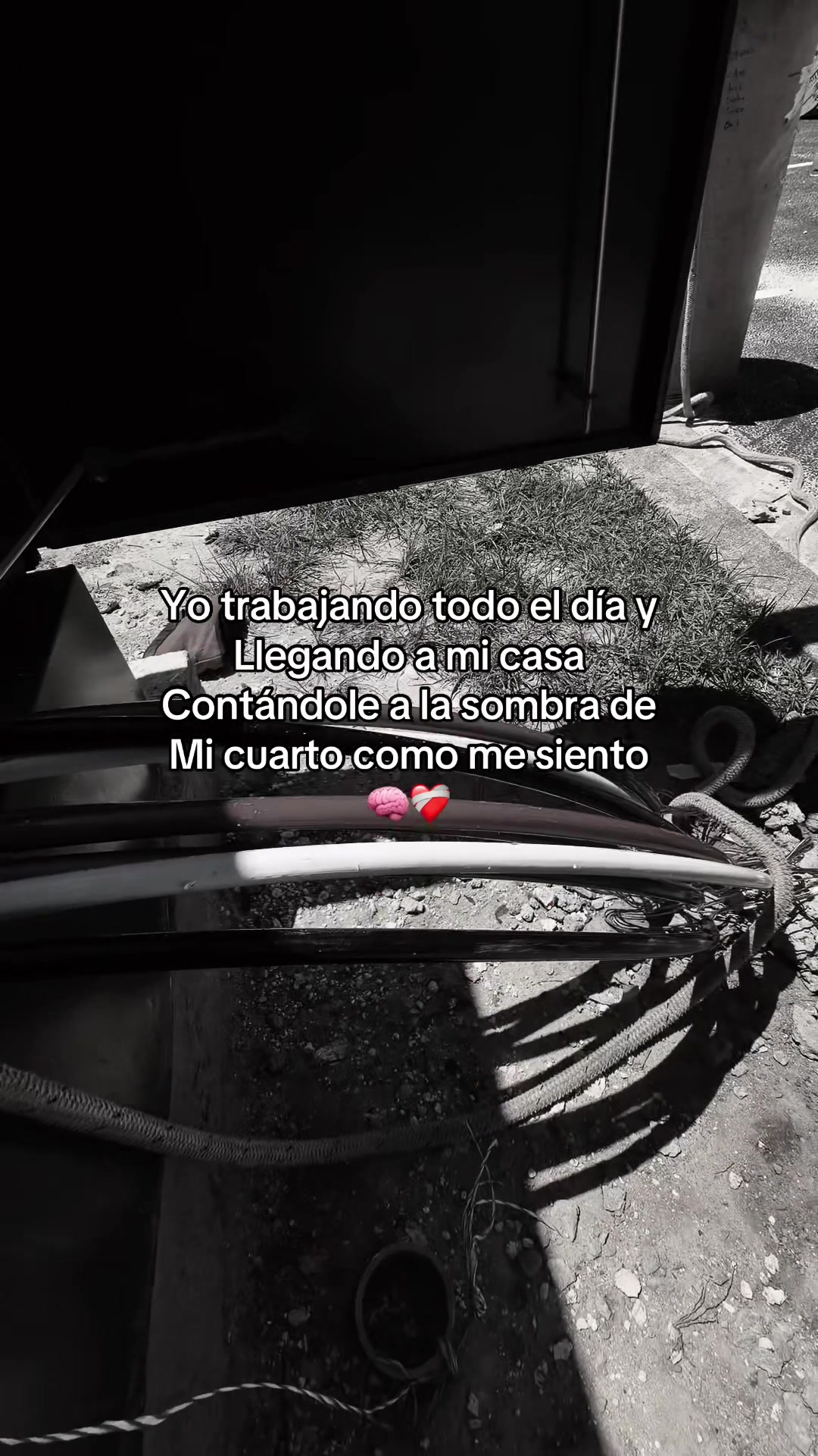 @MIKE 🥷🏻