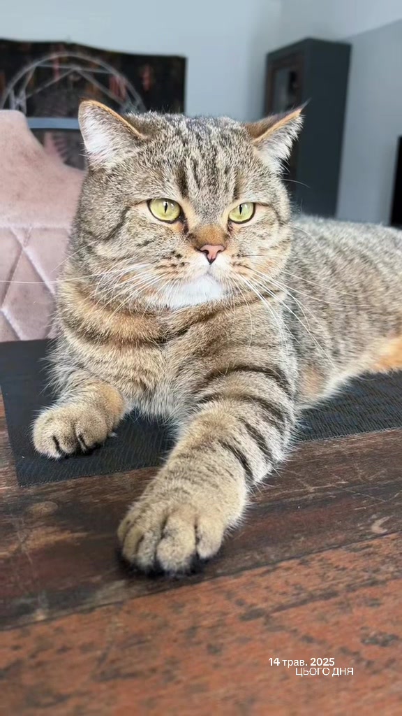 @Джоні 😻