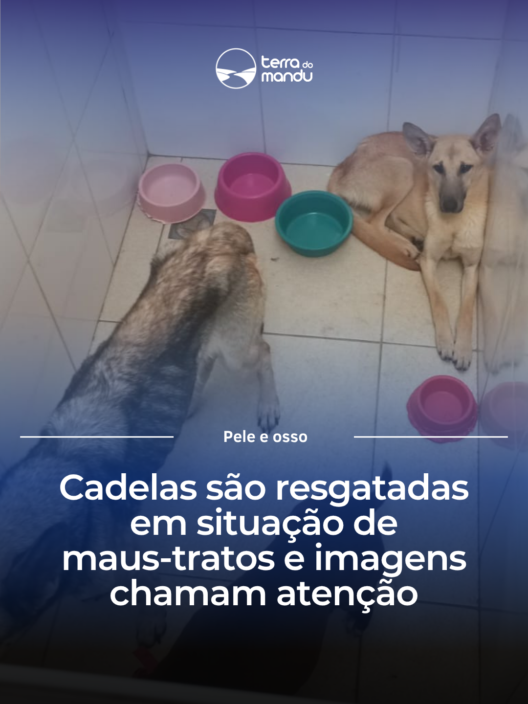 @Terra do Mandu
