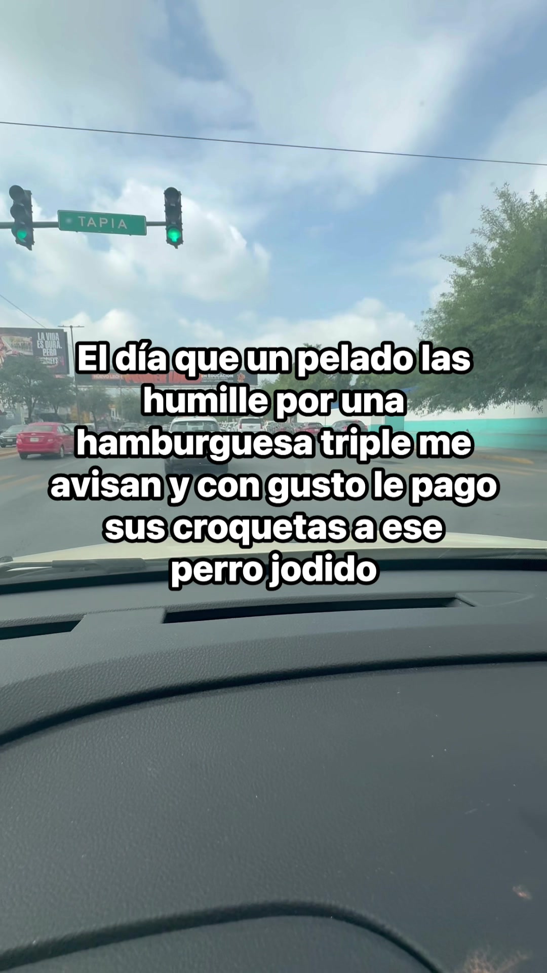 @Luz 🩵