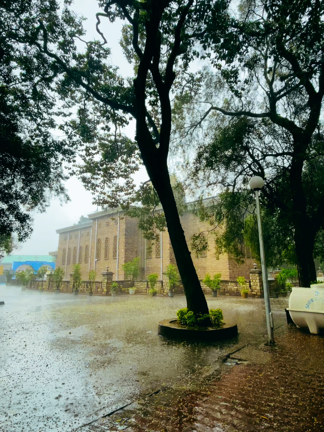 @ሴሩክያስ ሱራፊ