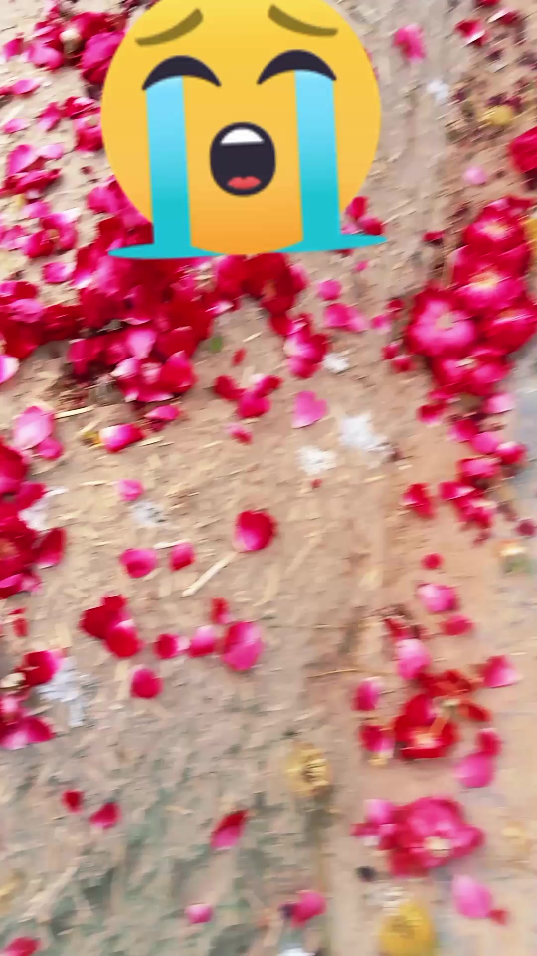 @🎀AlOn BuTt OfFaCial 🎀