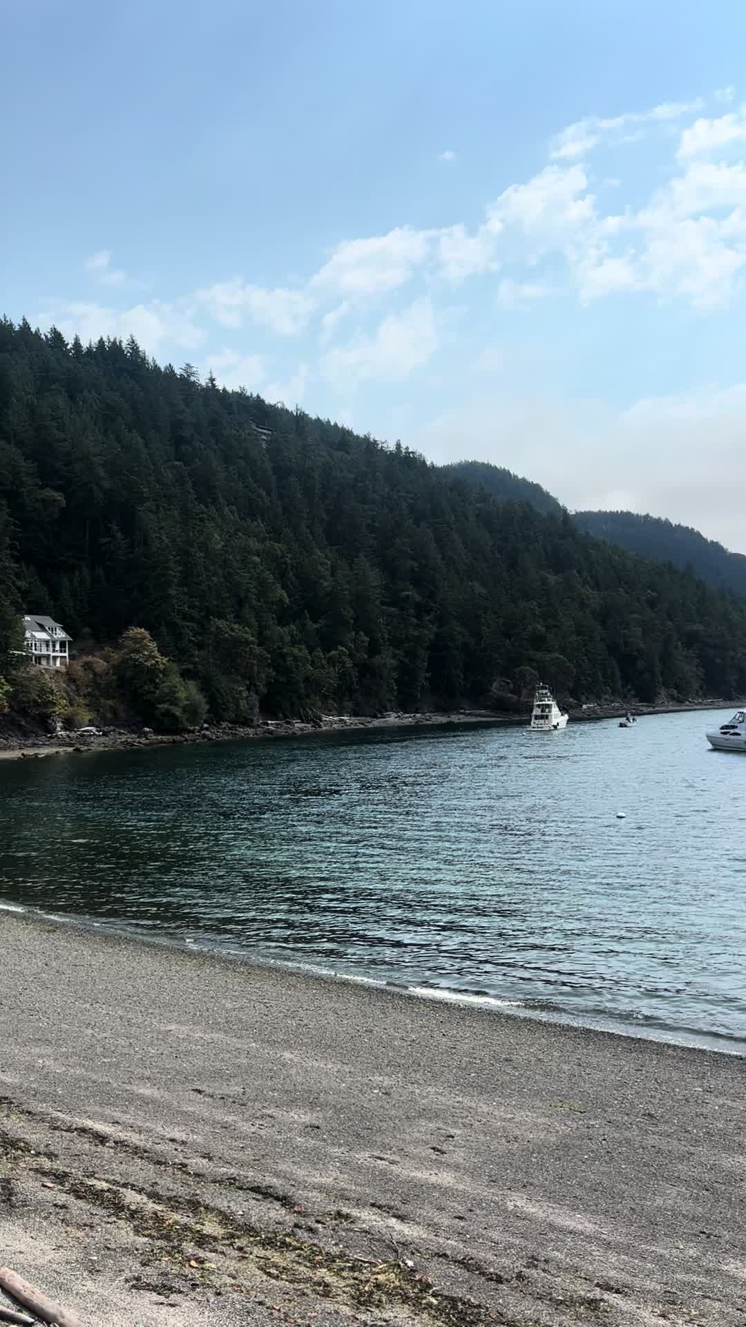 @LifeinthePNW