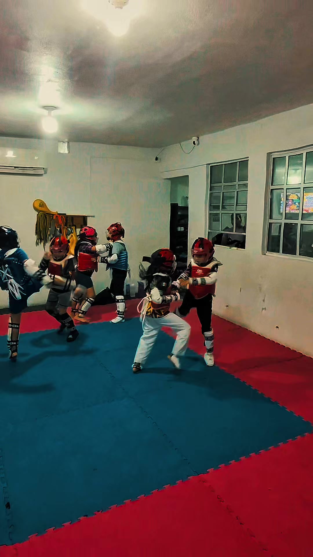 @taekwondolionsteam