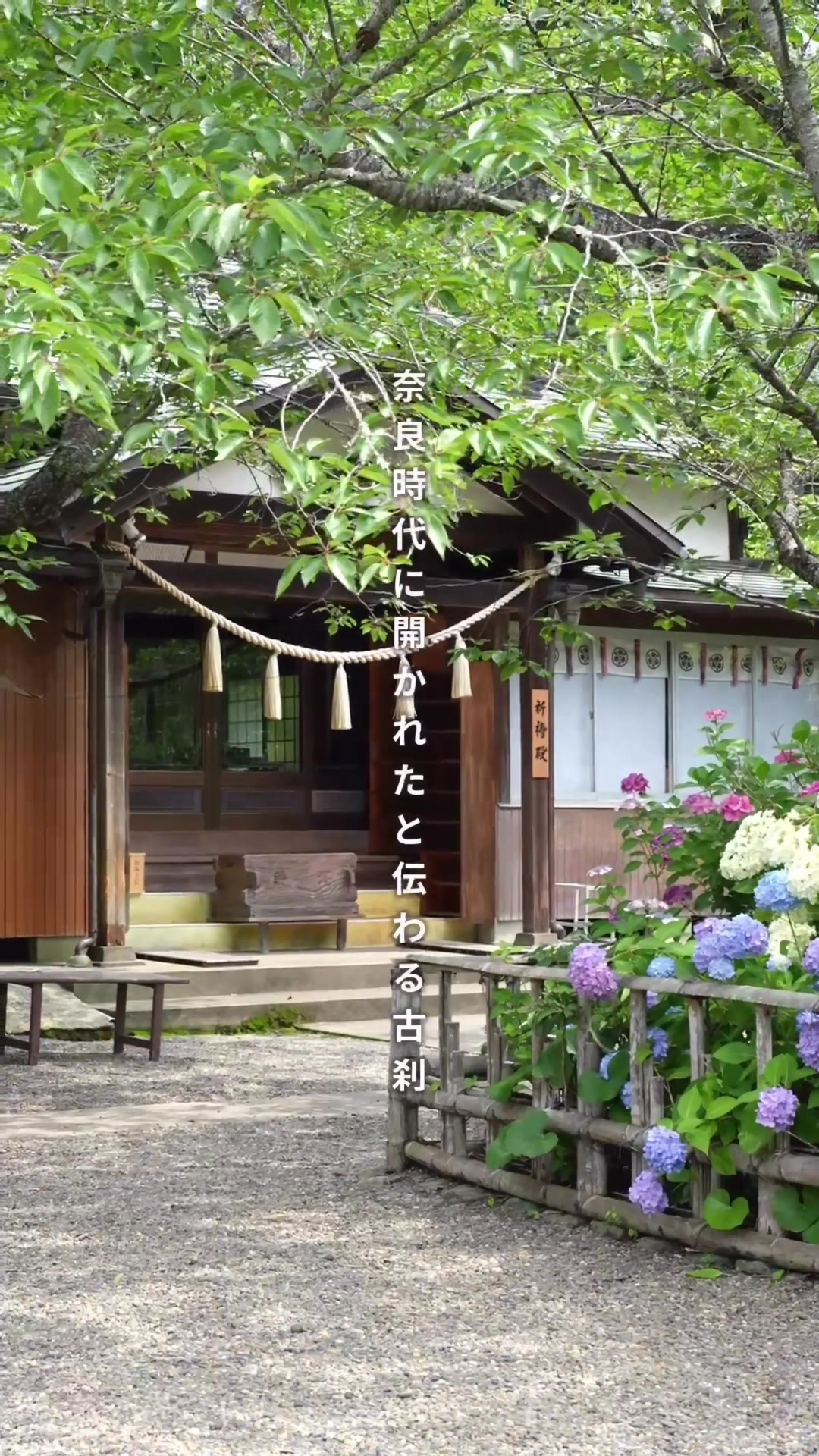@房日新聞社