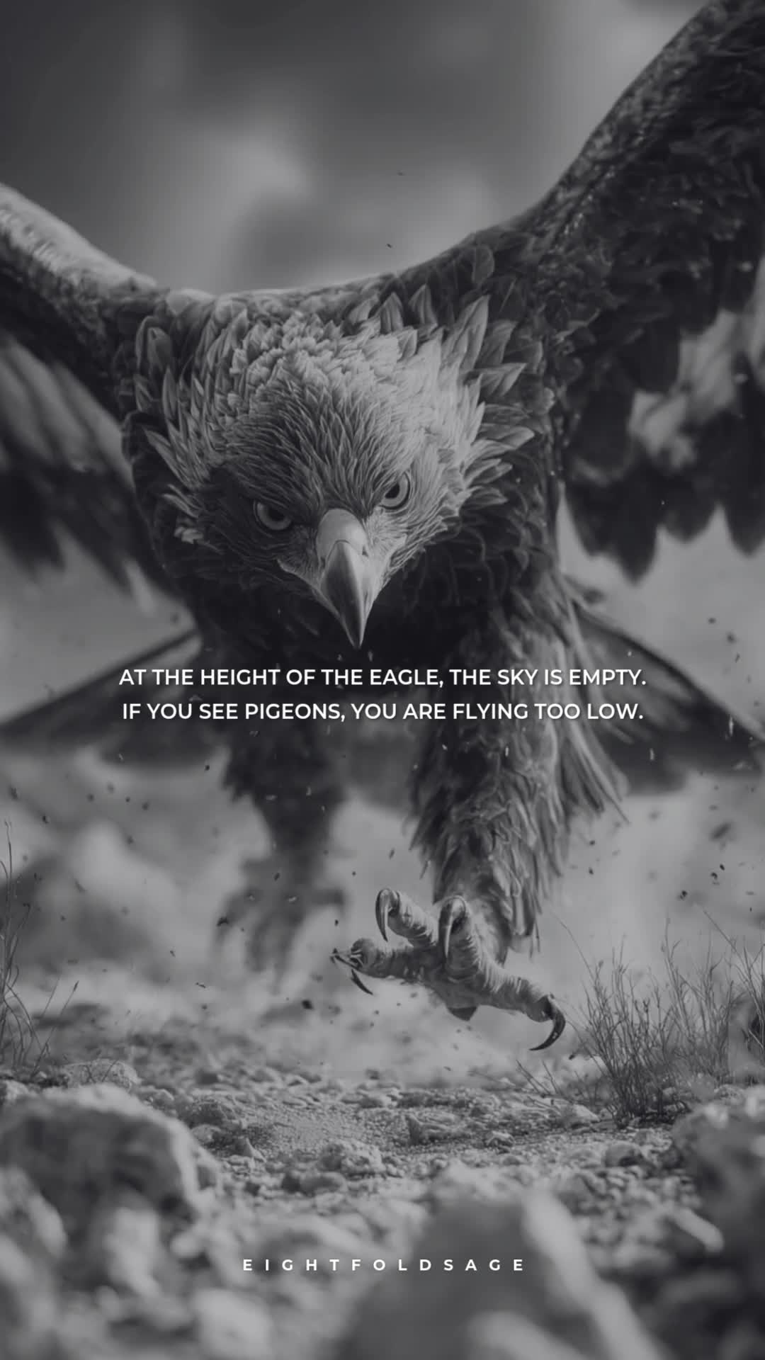 @Eightfold Sage