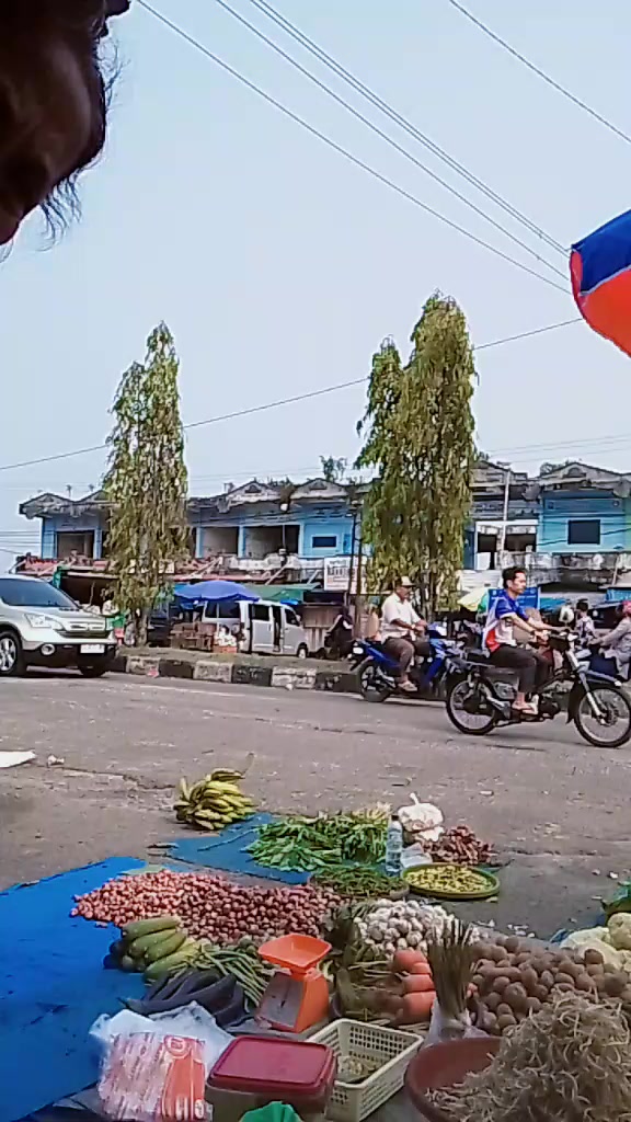 @Herlina Samosir247