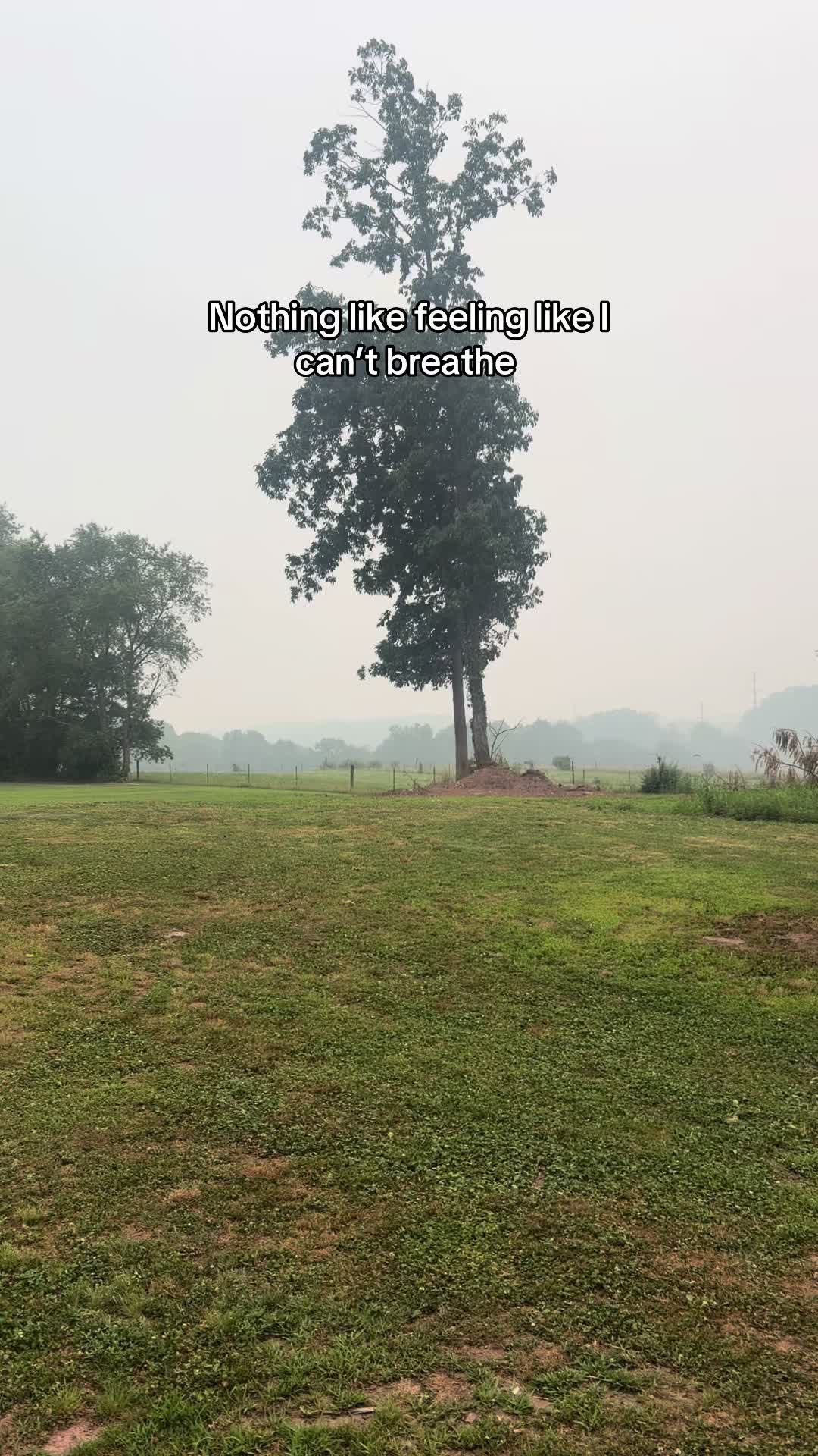@Gina