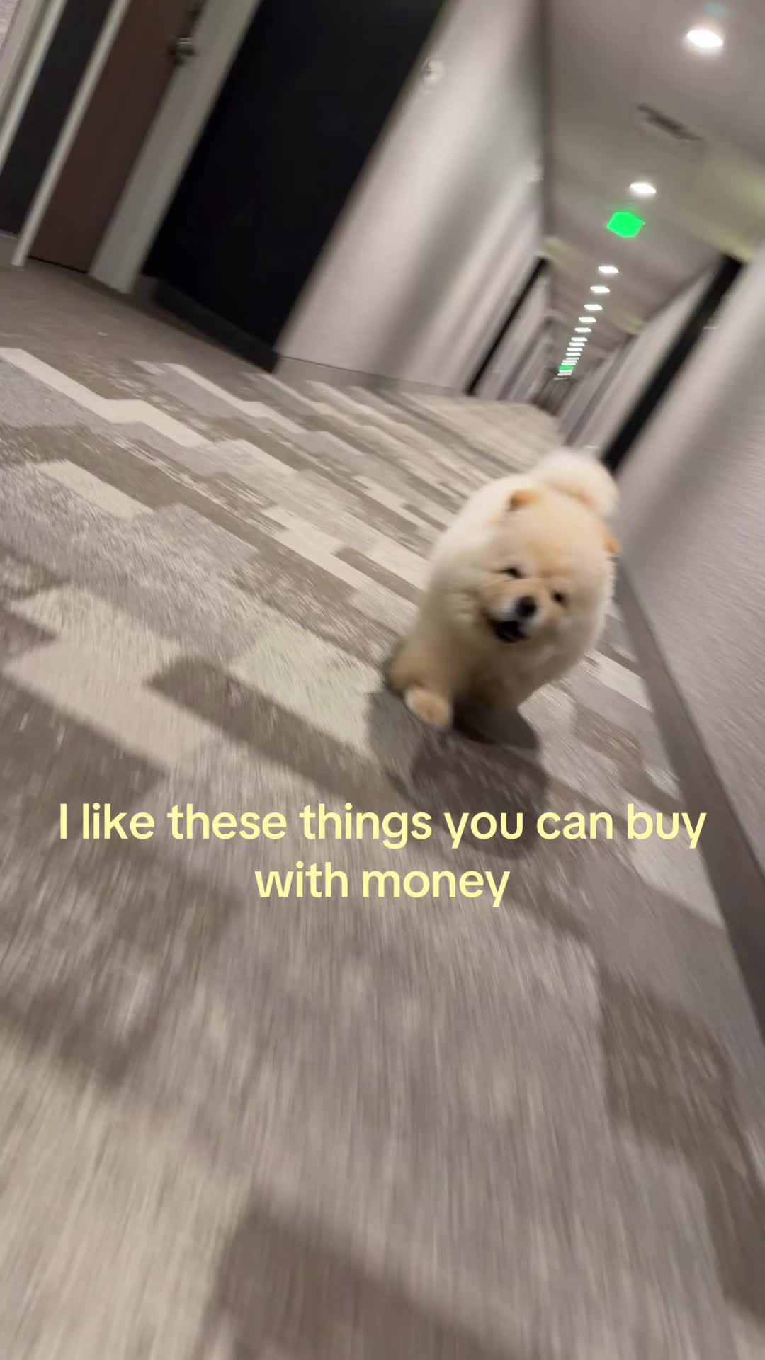 @idontknowthecoww