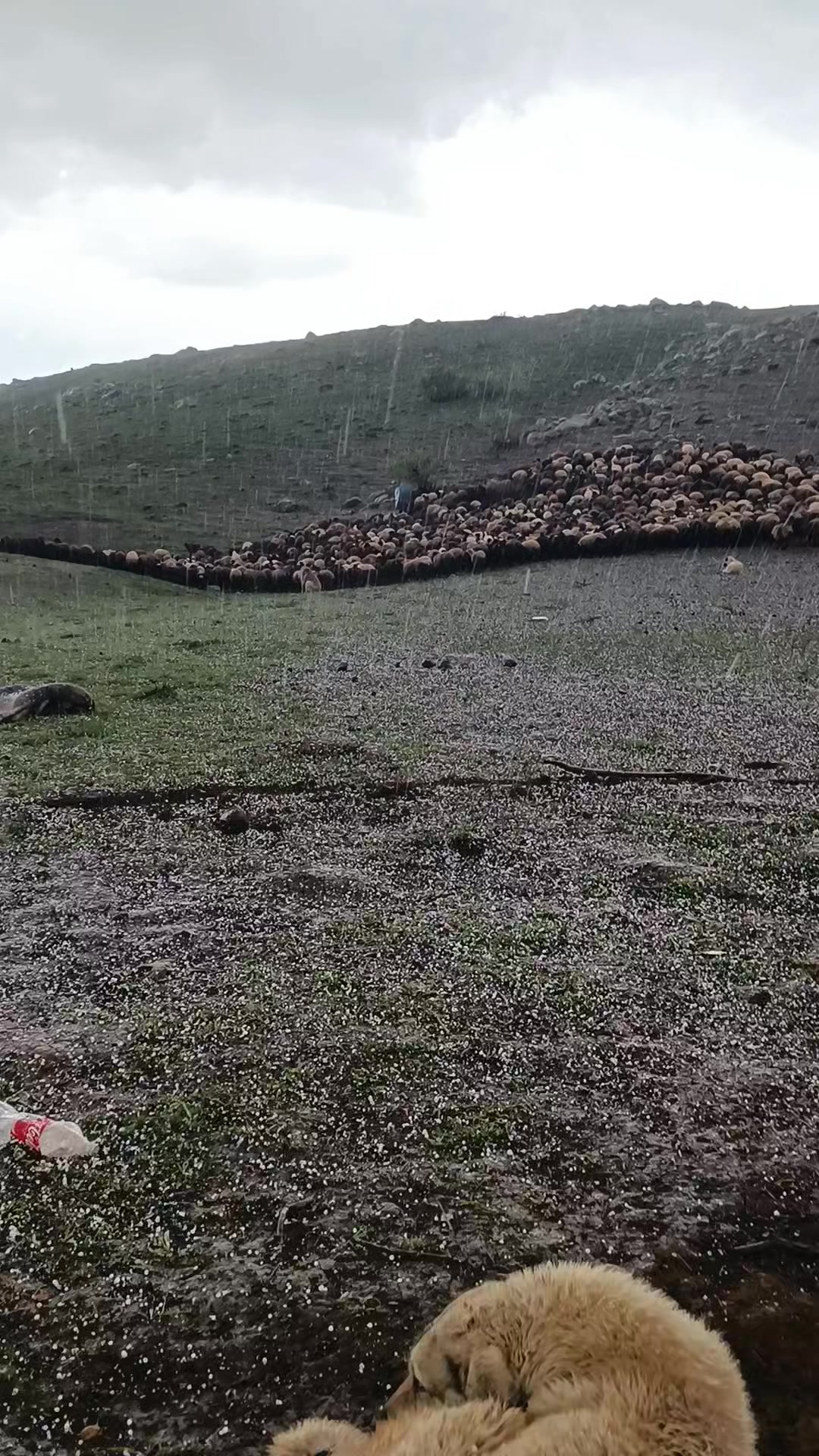 @Habip Baraçkılıç