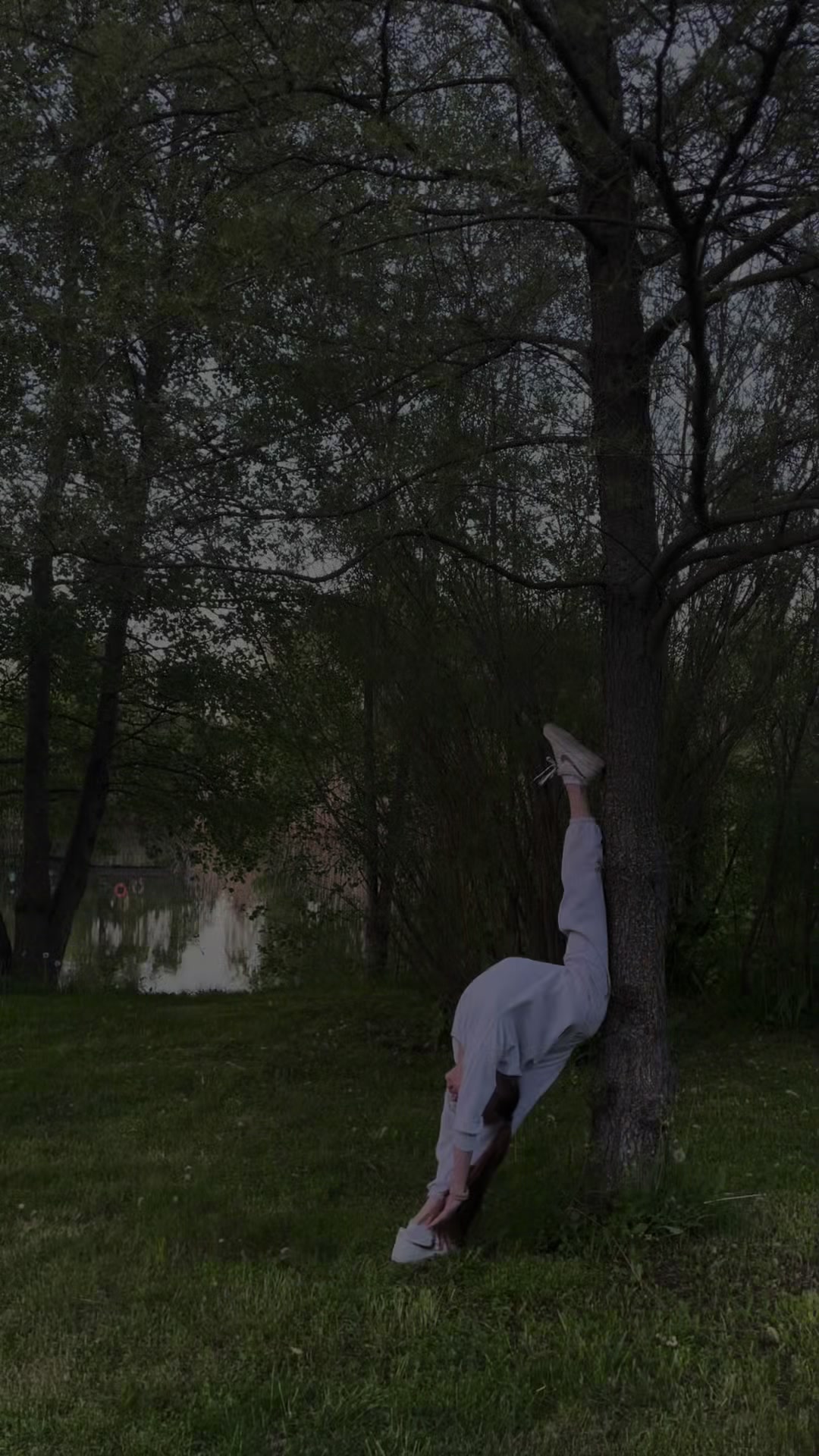 @🌷𝓓𝓲𝓪𝓷𝓪🌷