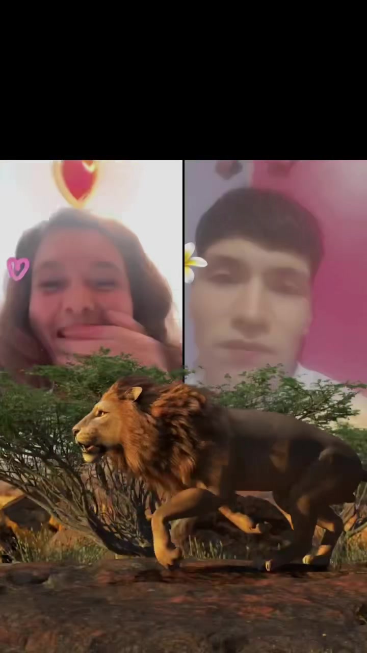 @Gina ❣️❣️