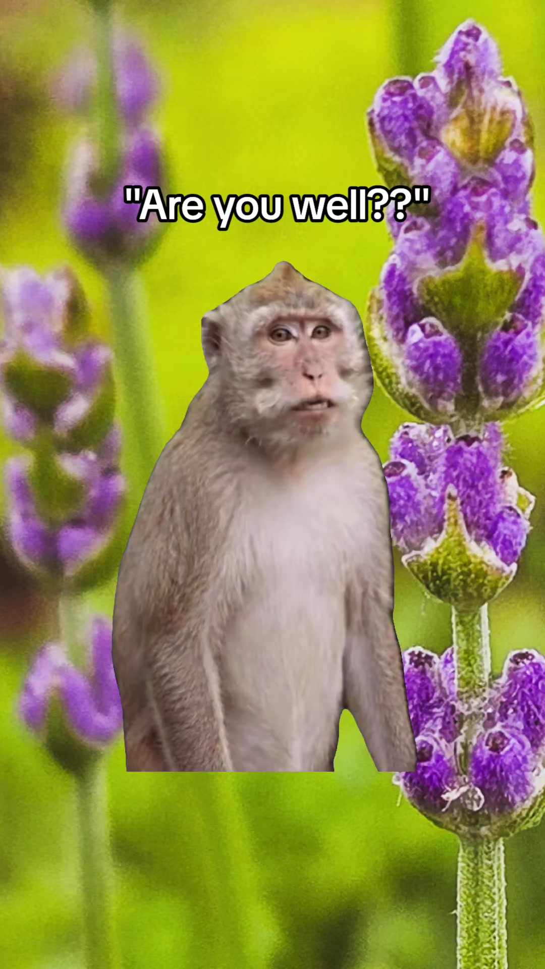 @Just Dee