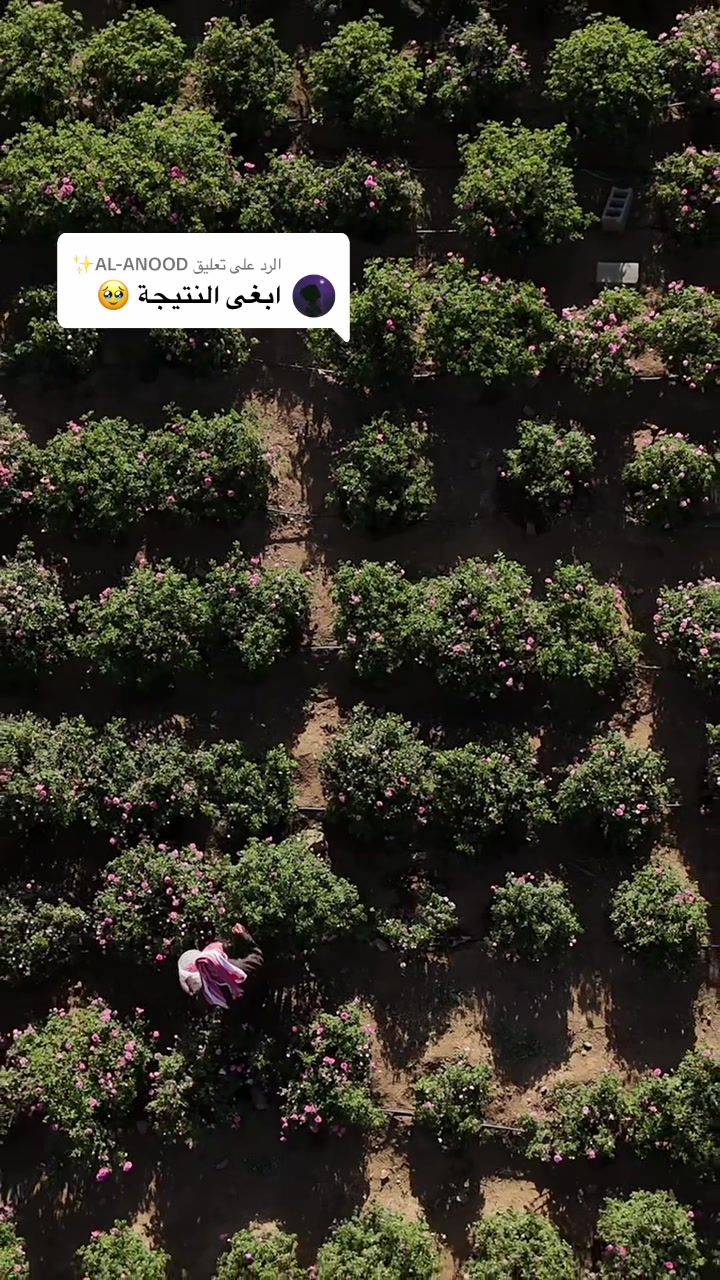 @منال الخالدي | مصورة زواجات