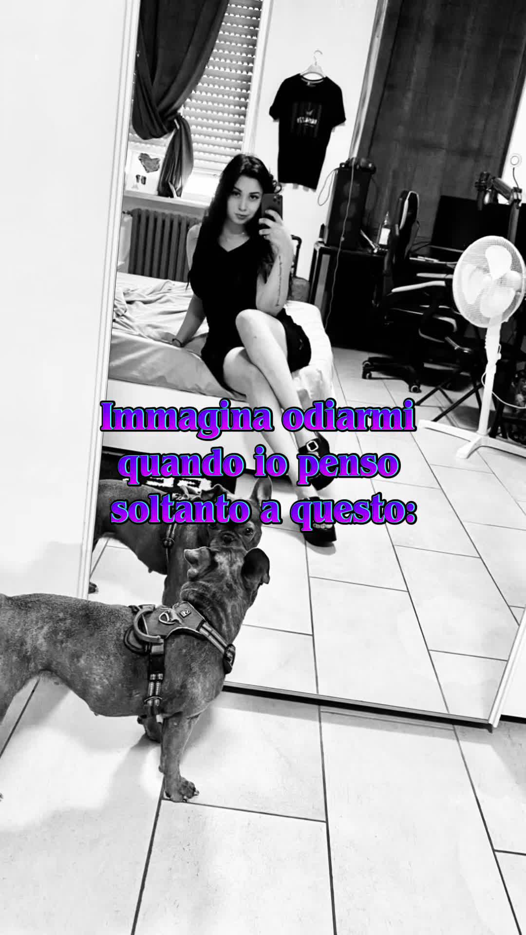 @avvotube