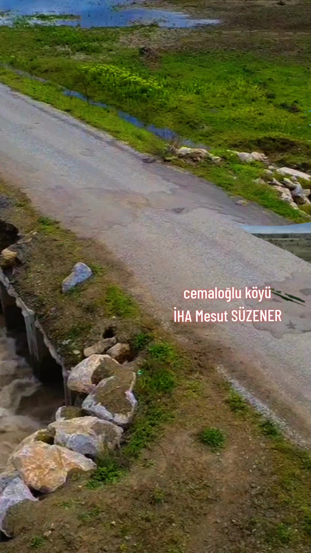 @mesut s&uuml;zener