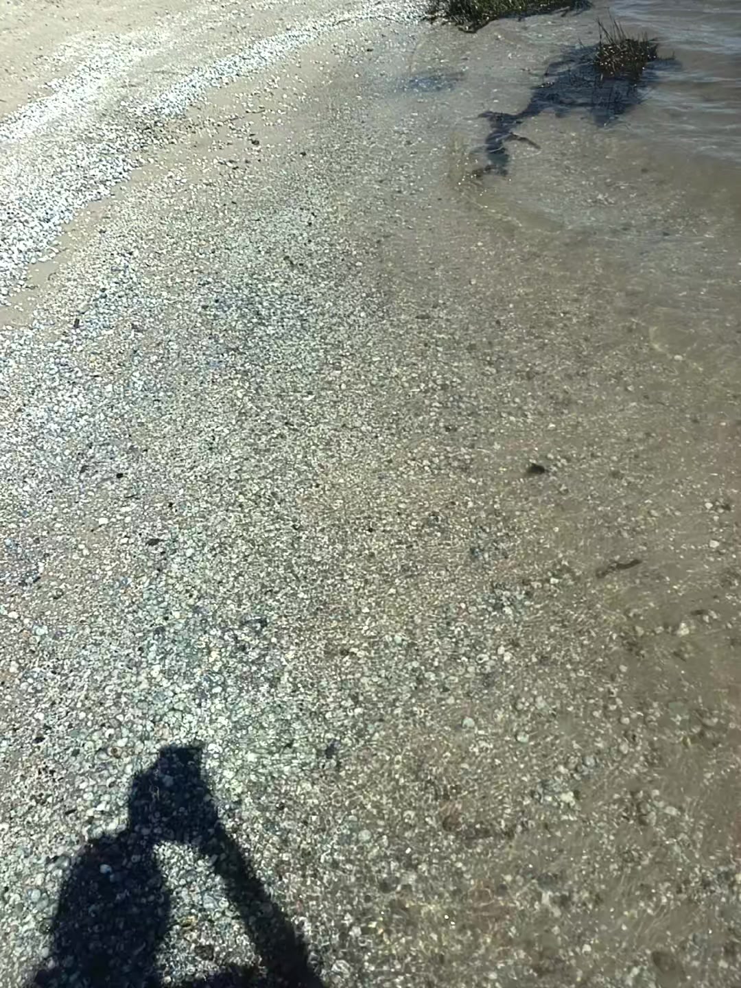 @пельмени