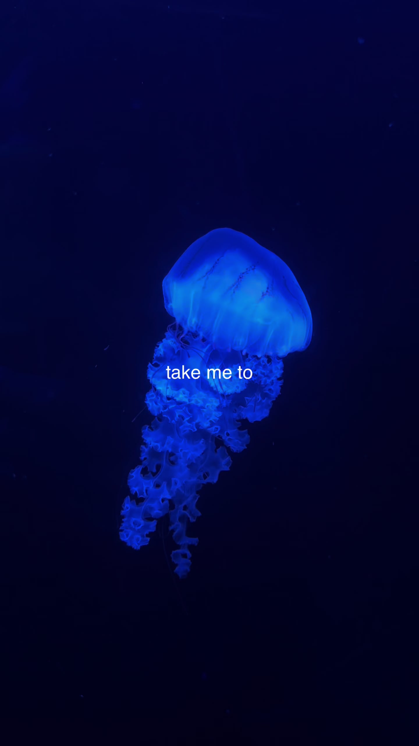 @The Florida Aquarium