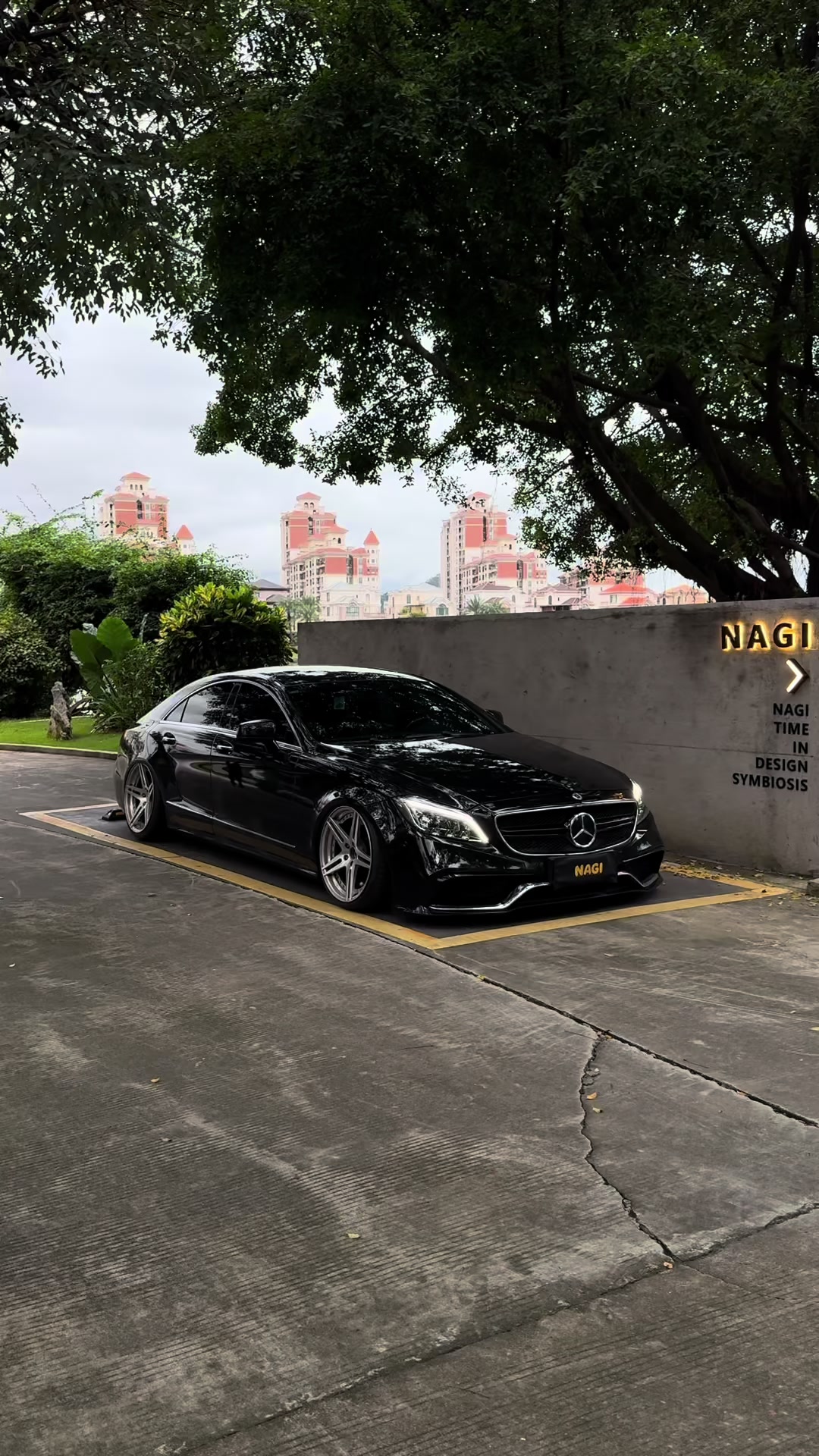 @tarewhips