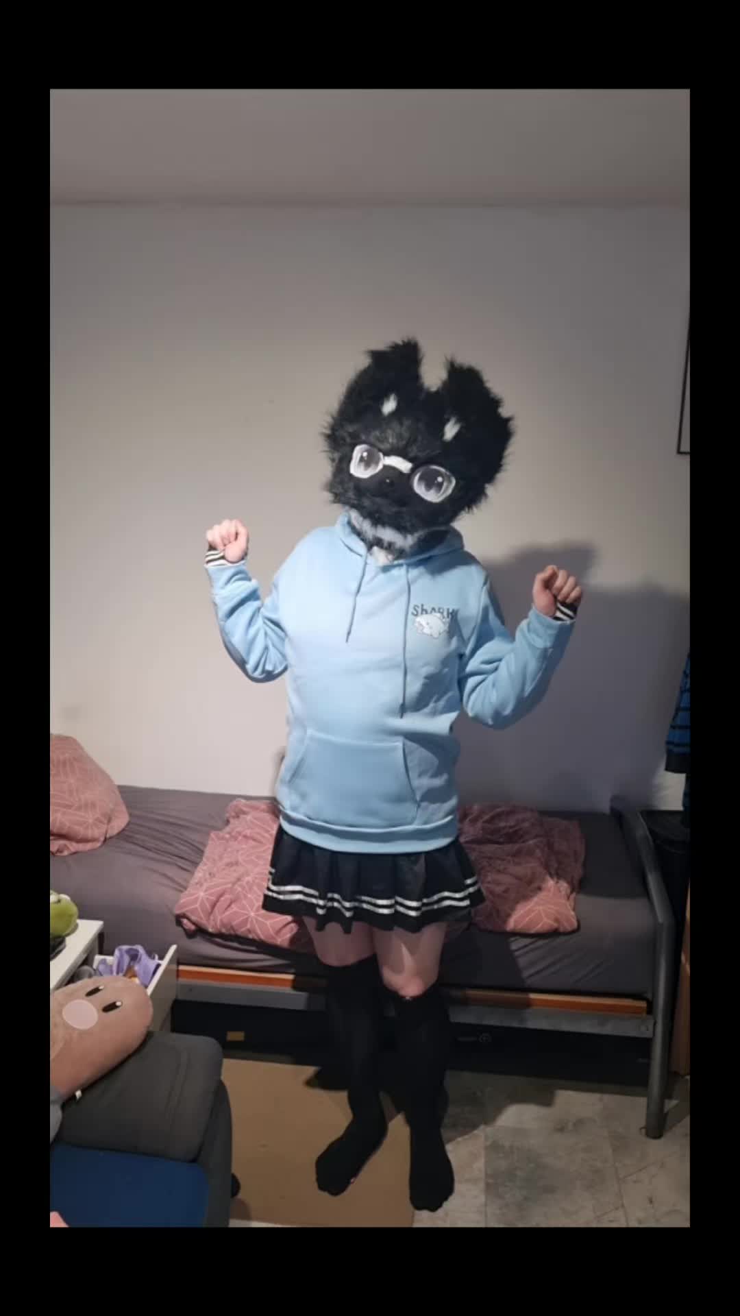 @LittleFemPuppy