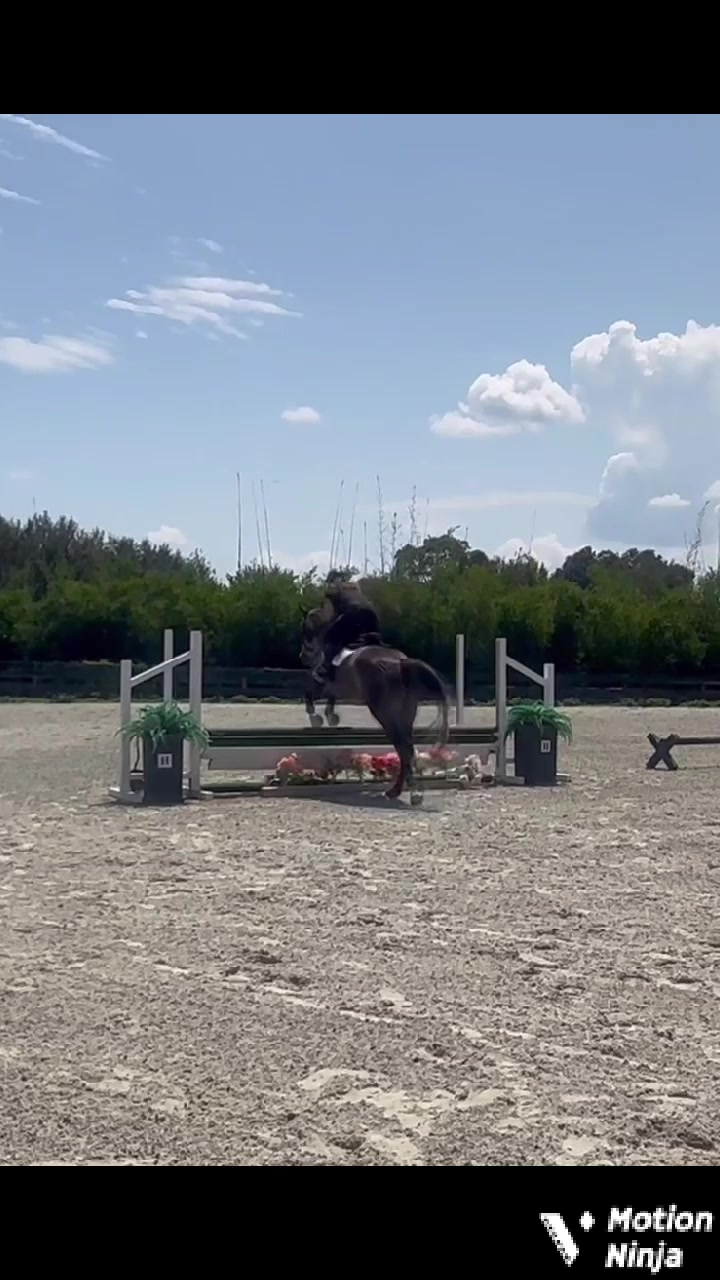 @Em.eq
