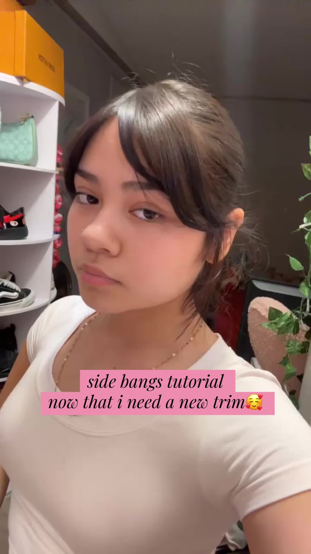 @areli
