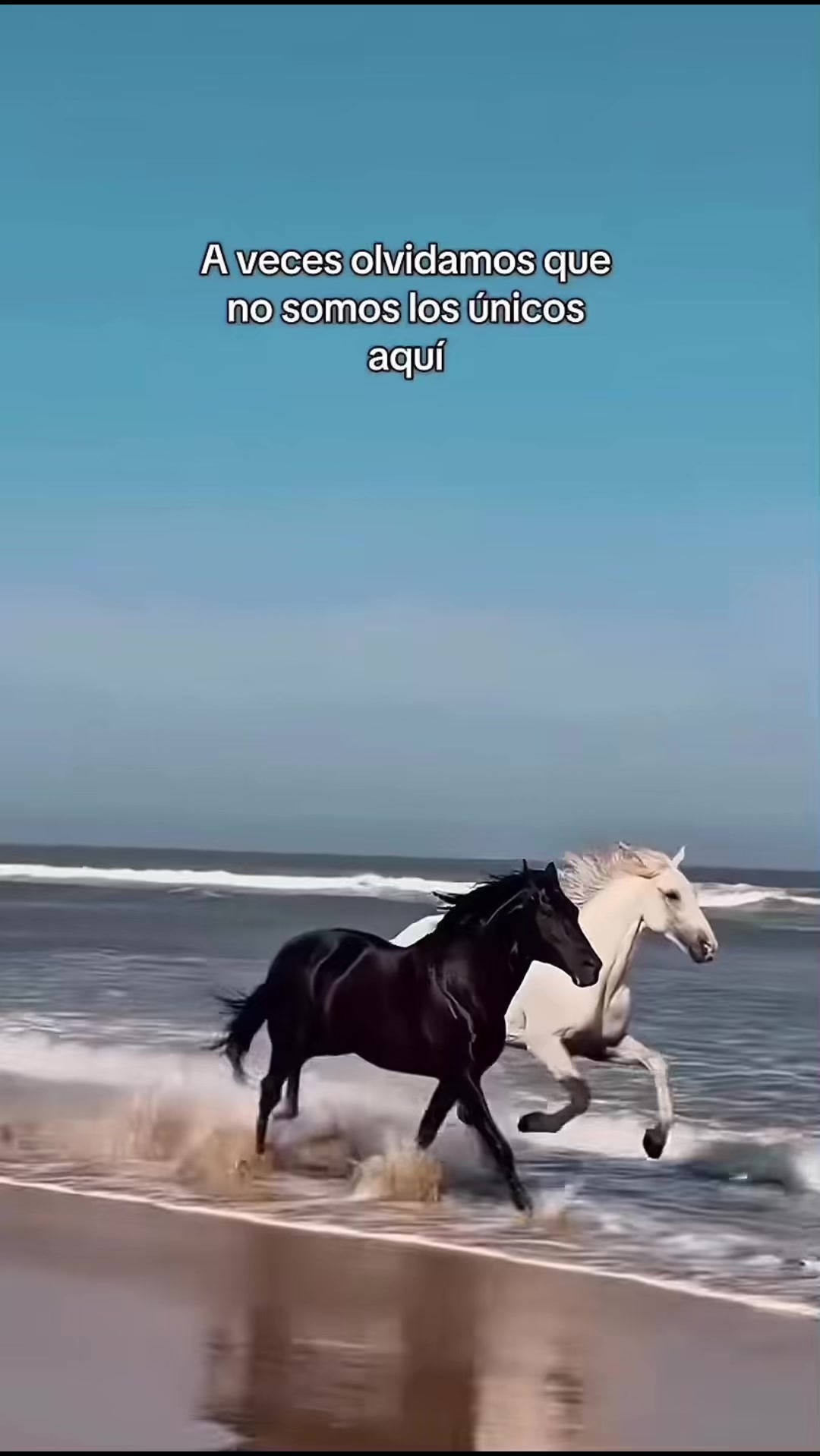 @ᴊᴀʀoснⲗ 🦀