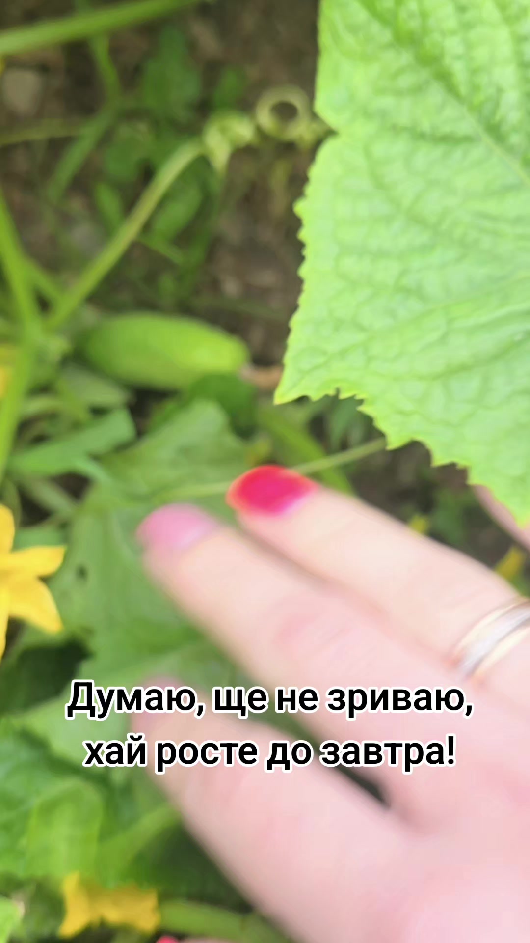 @Оксанка