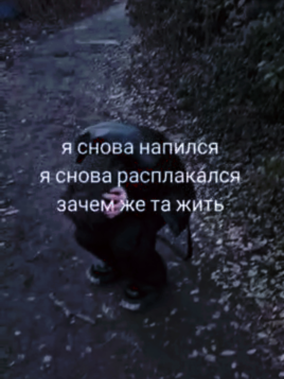 @dark seraphim