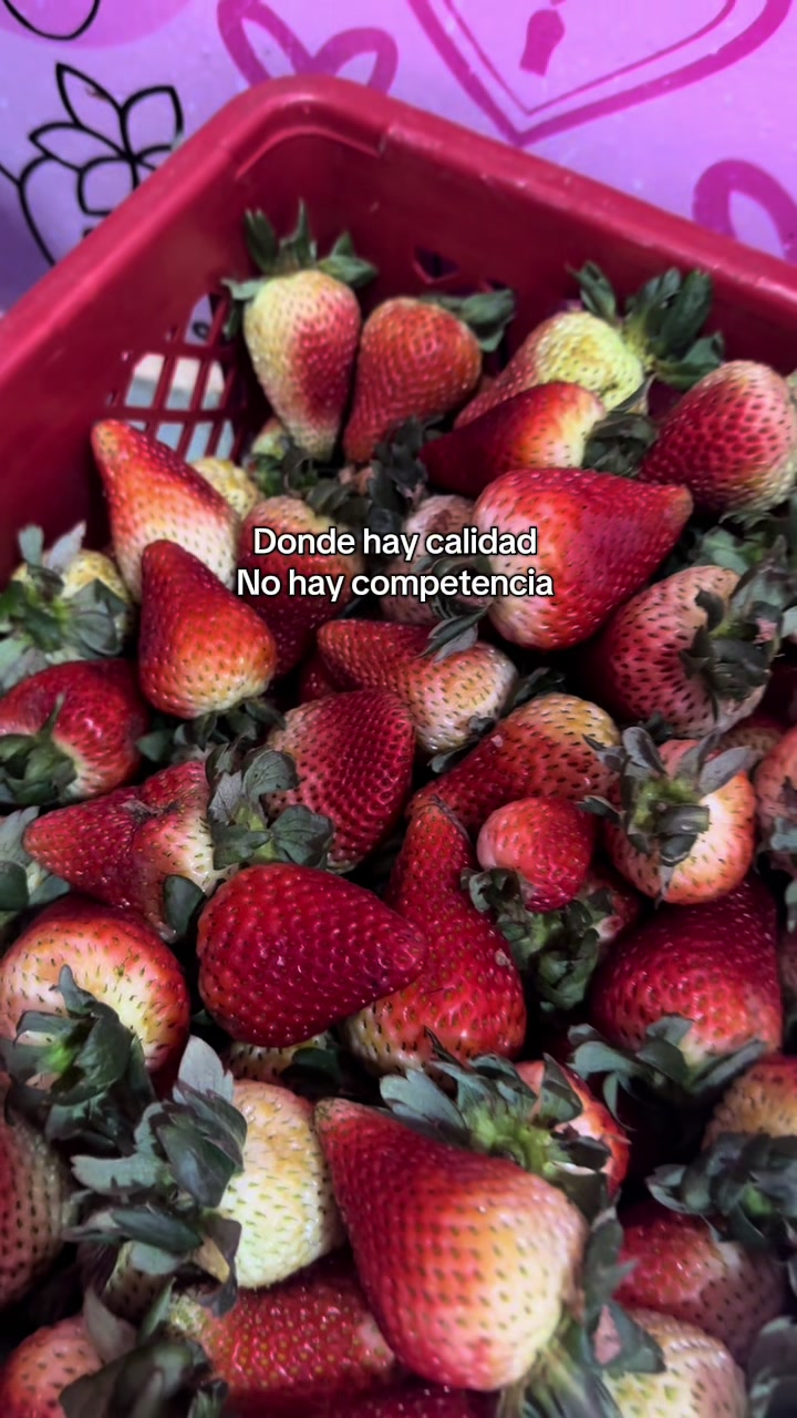 @FresaMe🍓Mocoa🤤