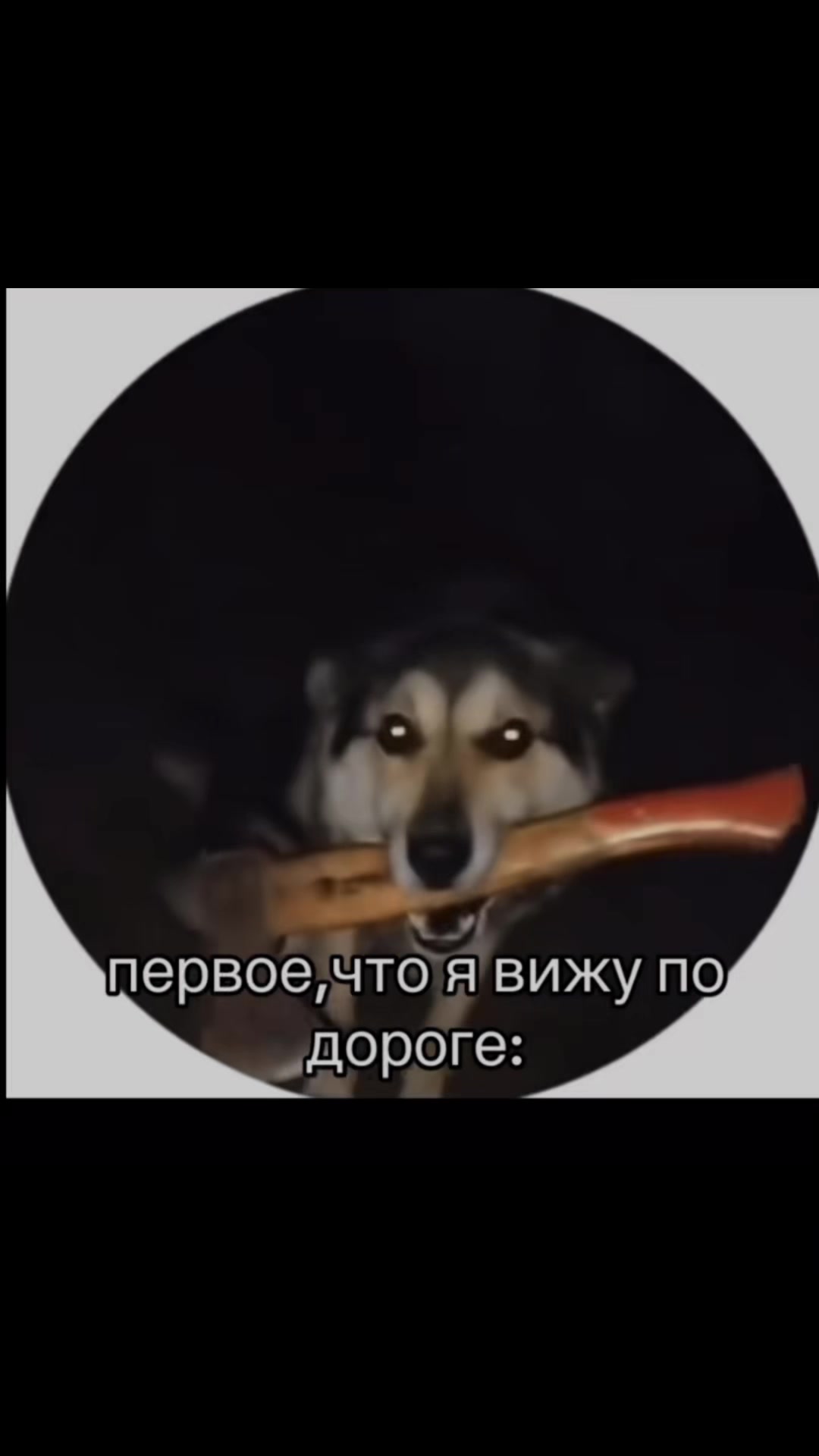 @ТГК: ALIEN POLLY это я💘