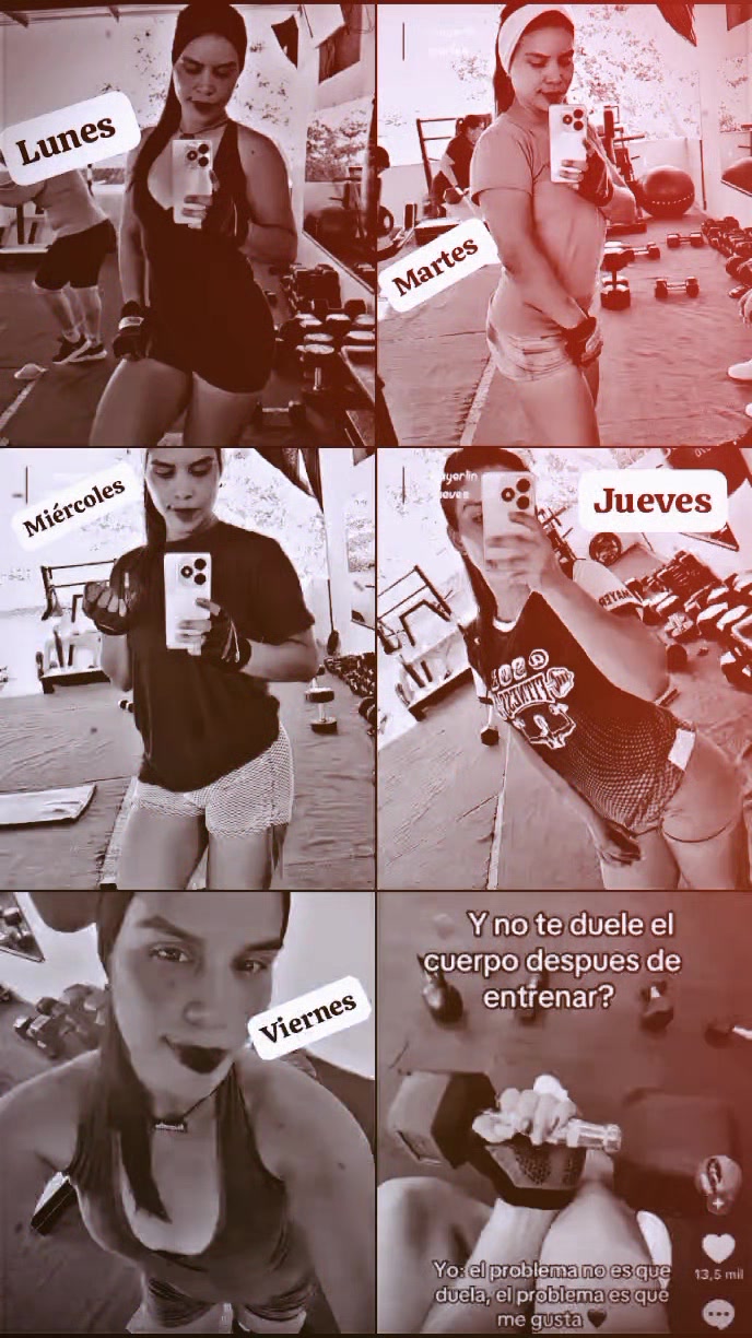 @Mayerlin