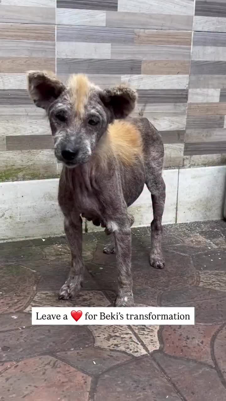 @littlestepsmatter.bali