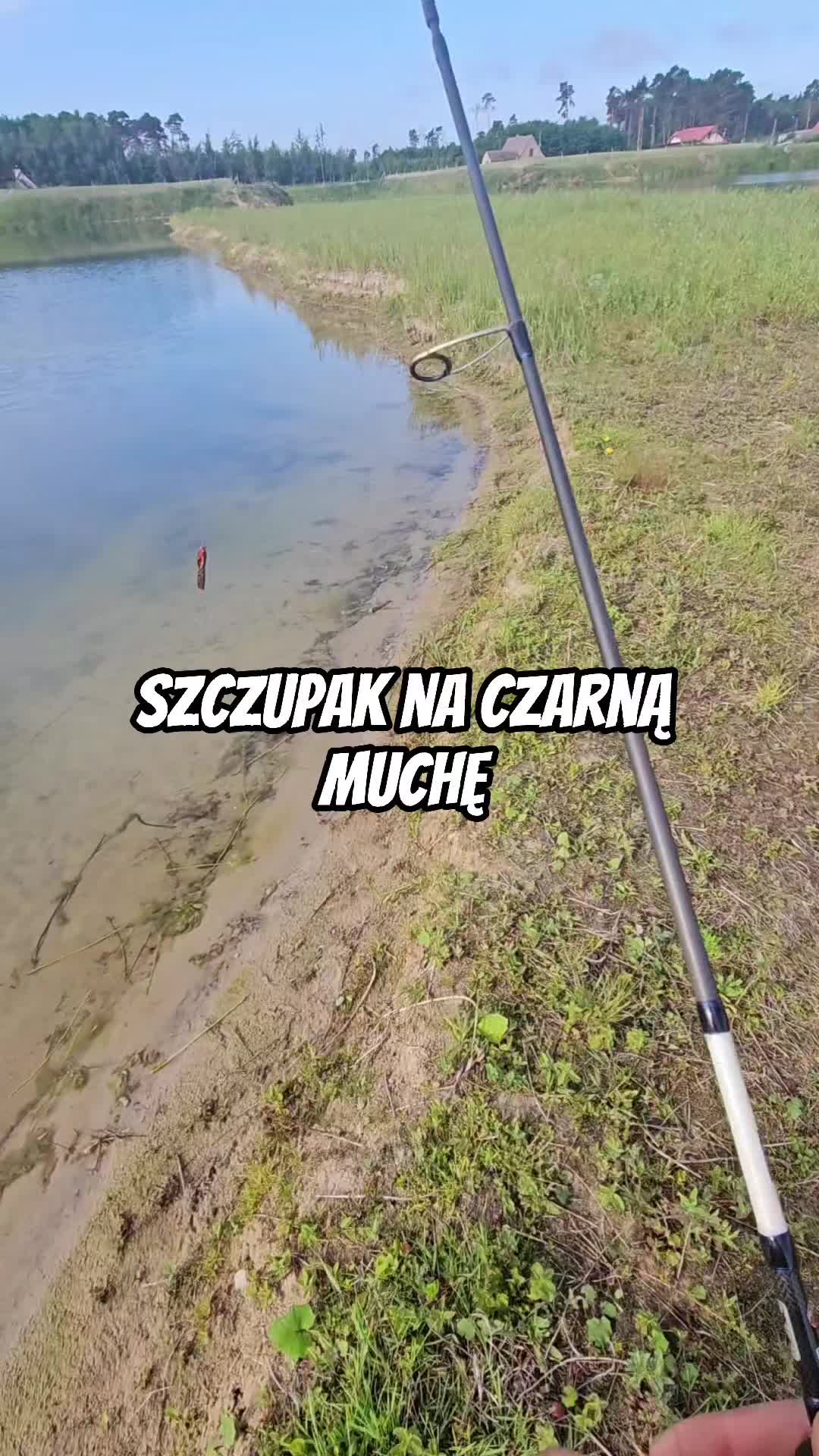 @mfly_lures
