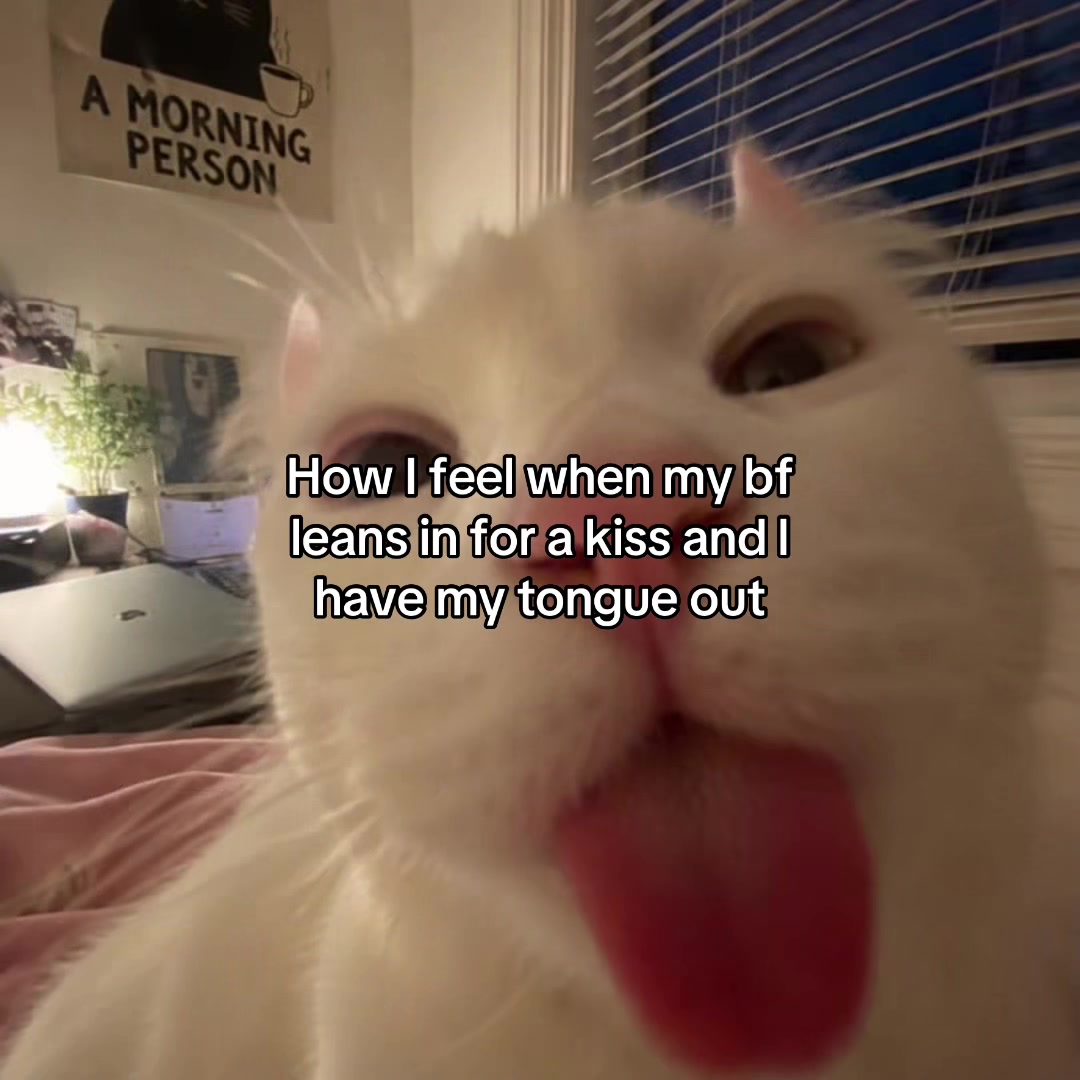 @Alice.cattok