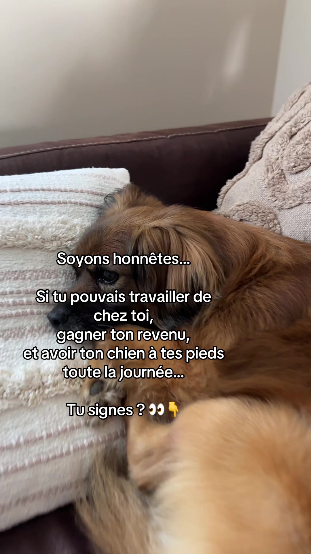 @Ana&iuml;s | Business en ligne 🌸✨