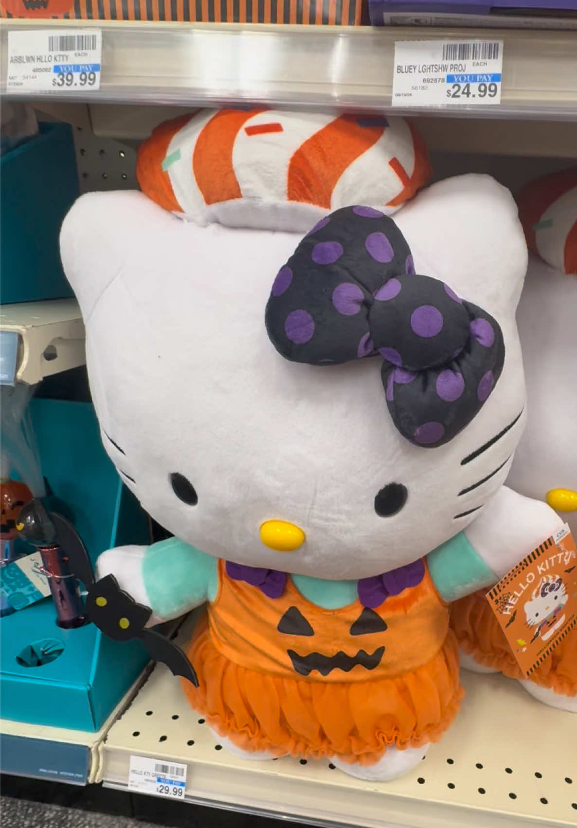 @🎀🧸🩷Boobear🎀🧸🩷