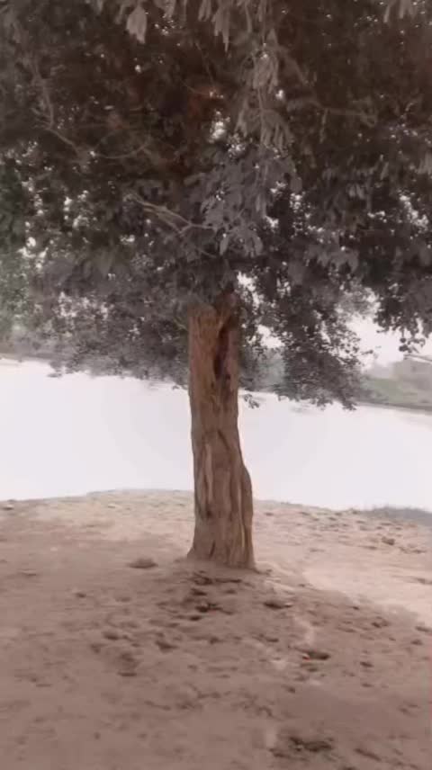 @╾━╤デ╦︻☝ساجد عباسی▄︻̷̿┻̿═━一