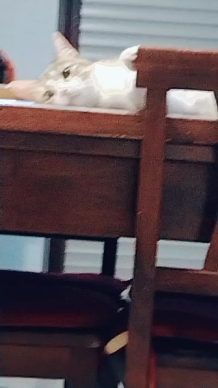 @Emily
