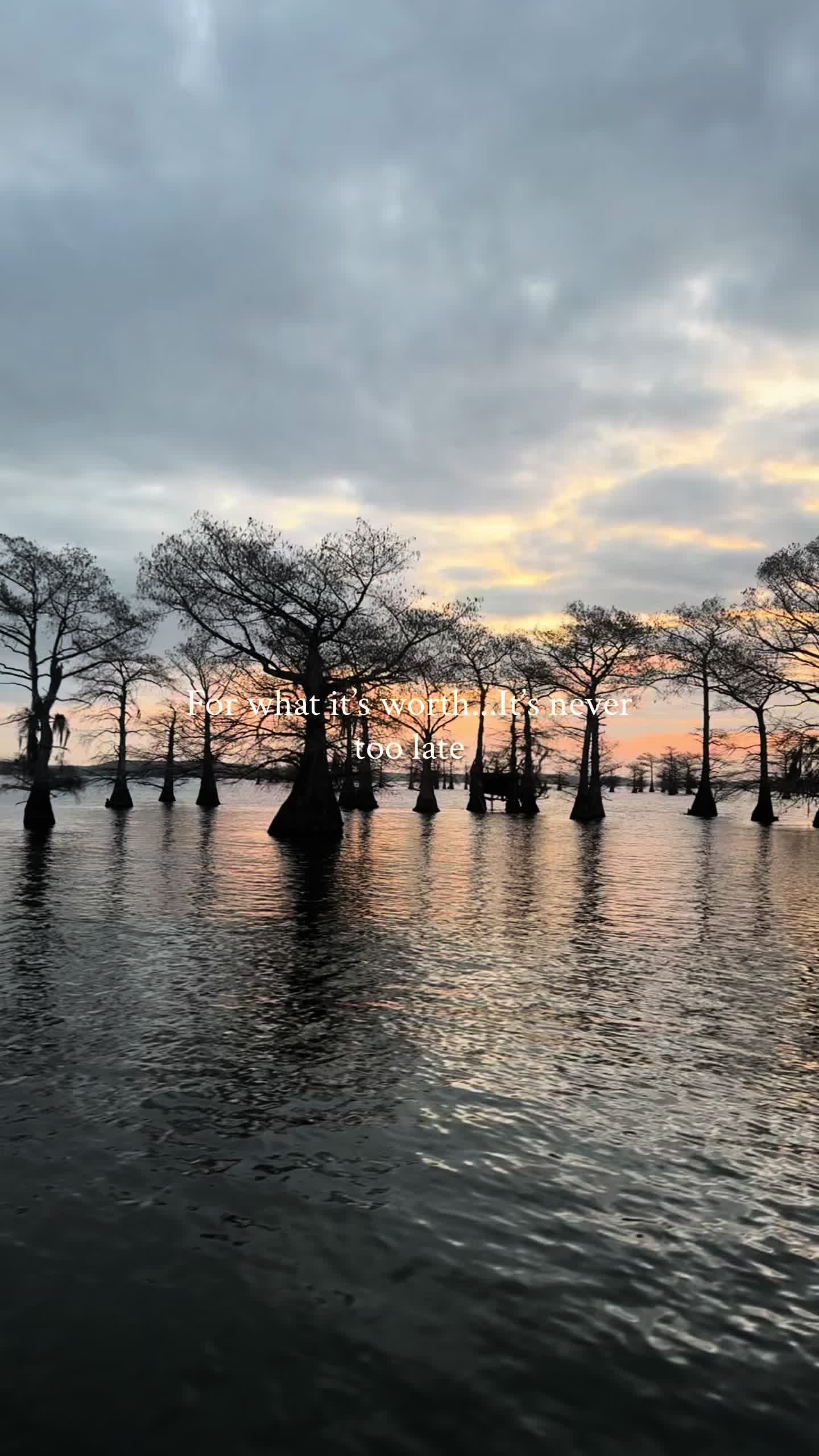 @Caddo Lake FirstCastCabin