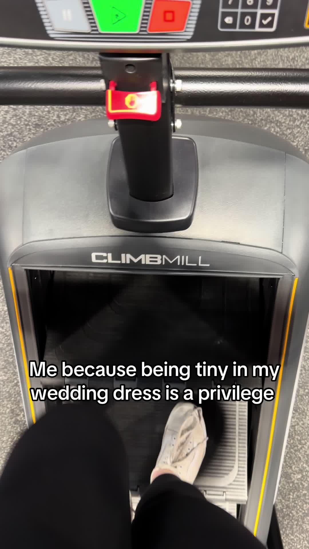 @wesleigh beamer