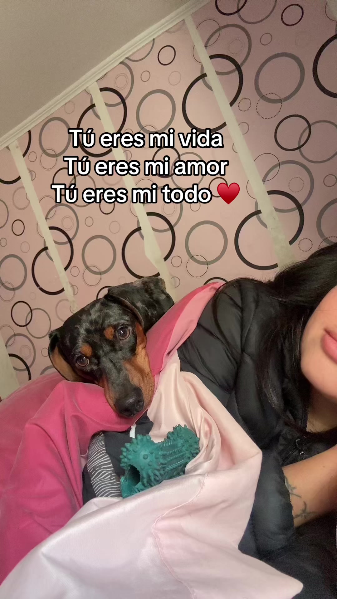 @𝑴𝒊𝒍𝒂 𝑴𝒊𝒍𝒂𝒏𝒆𝒔𝒂 🐾